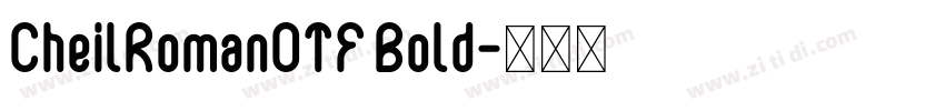 CheilRomanOTF Bold字体转换